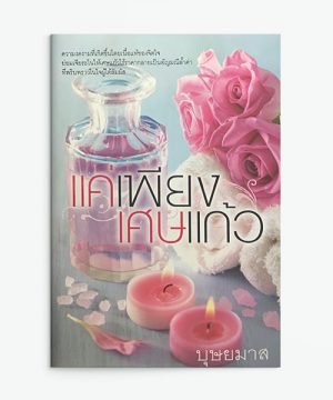แค่เพียงเศษแก้ว