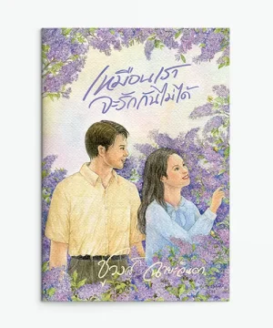 เหมือนเราจะรักกันไม่ได้